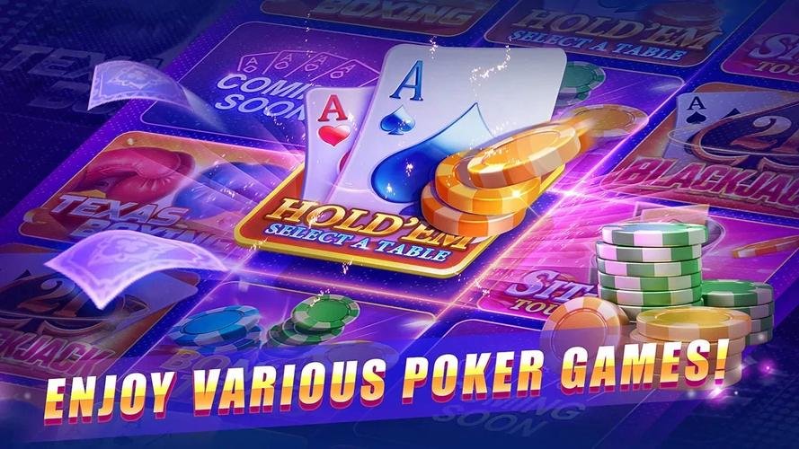 dgb33